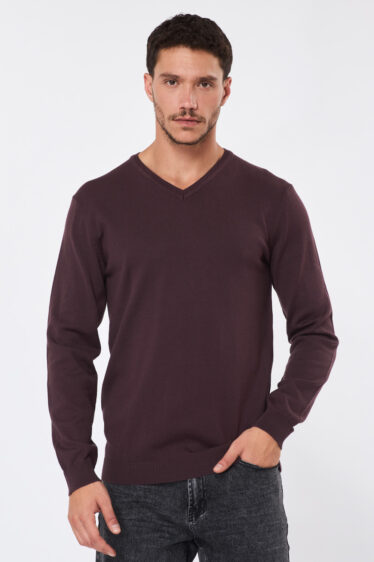 סריג בייסיק צווארון וי - סגול חציל