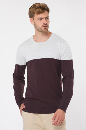 סריג בייסיק טריקולור